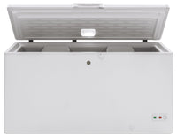 GE 15.7 Cu. Ft. Manual Defrost Chest Freezer - FCM16SLWW | Congélateur coffre GE à dégivrage manuel de 15,7 pi3 - FCM16SLWW | FCM16SLW