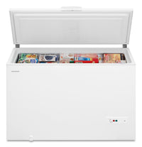 Amana 16 Cu. Ft. Convertible Chest Refrigerator-Freezer - AZC5216LW 