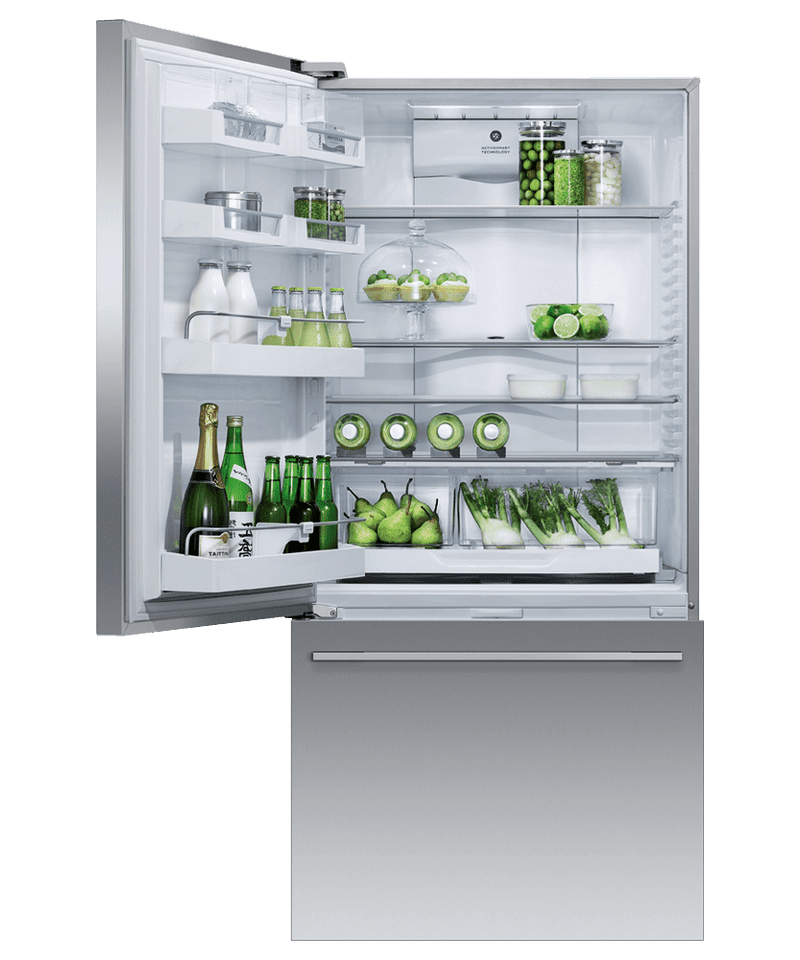 Fisher & Paykel Stainless Steel Refrigerator-RF170WDLUX5N