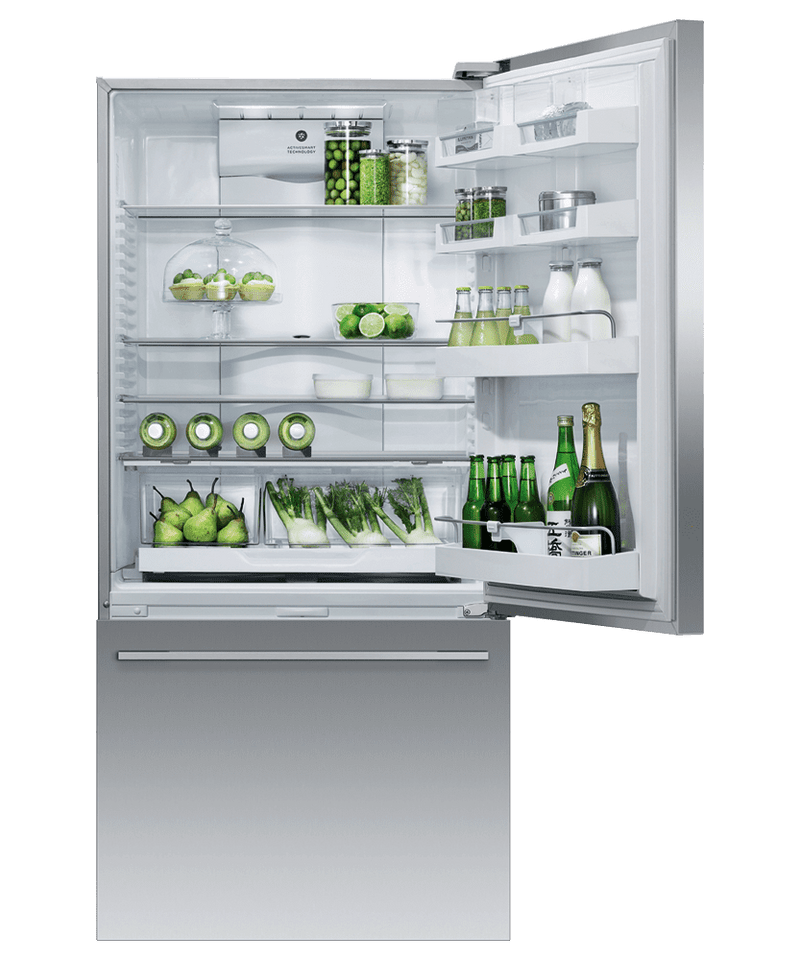 Fisher & Paykel Stainless Steel Refrigerator-RF170WDRUX5N