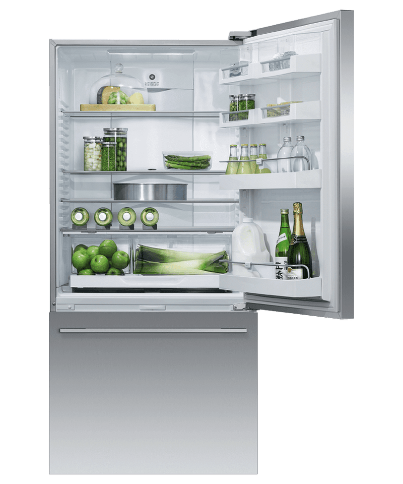 Fisher & Paykel Stainless Steel Refrigerator-RF170WDRX5N