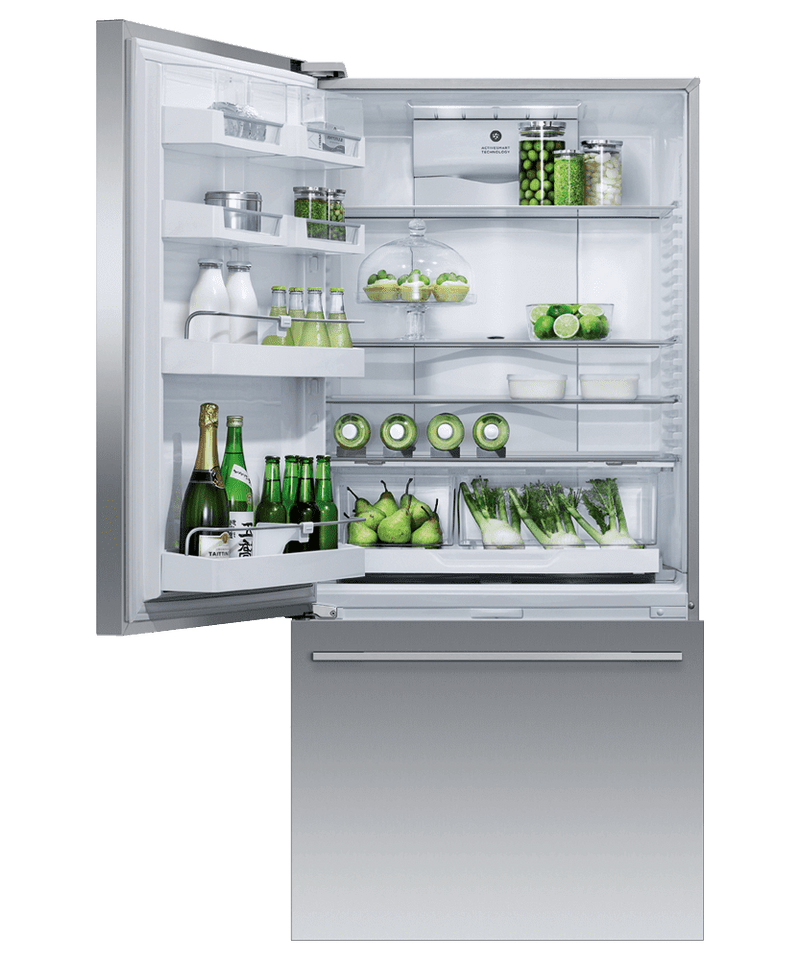 Fisher & Paykel Stainless Steel Refrigerator-RF170WDLUX5N